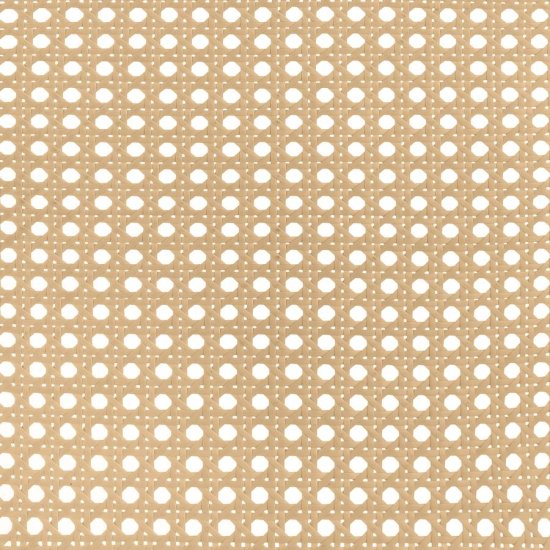 Lanewood Open Cane Webbing Metal Eastern King Bed White